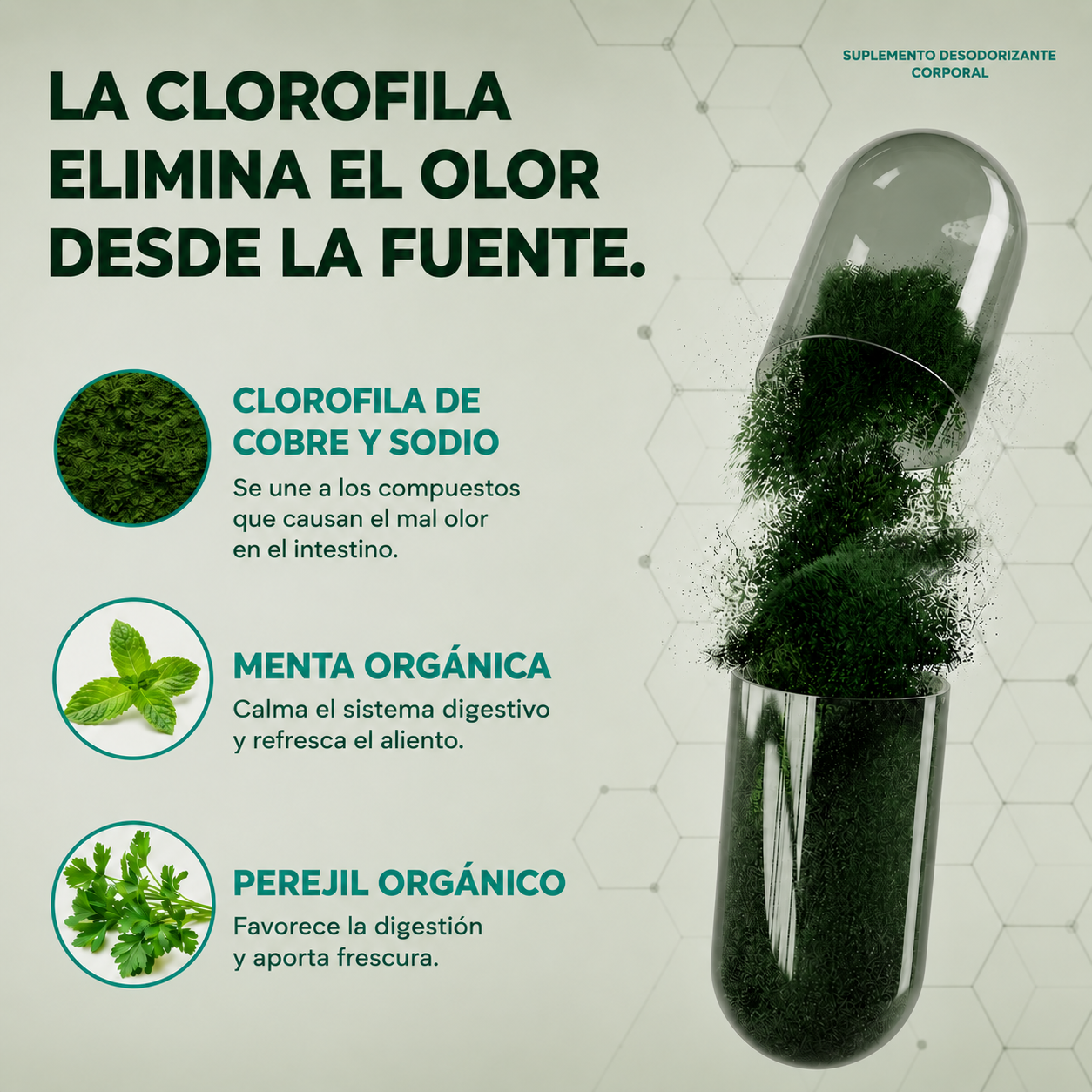Suplemento Desodorante Interno | Velmara®