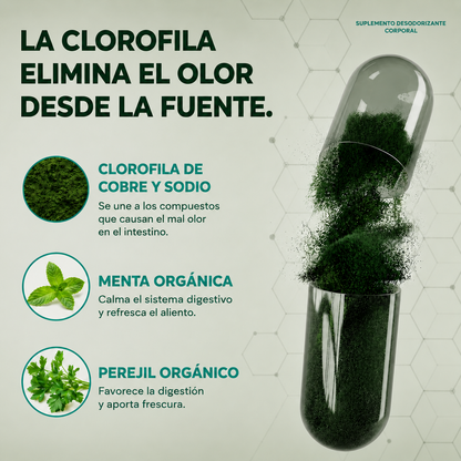 Suplemento Desodorante Interno | Velmara®