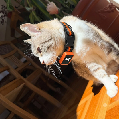Huella Pet - Localizador inteligente