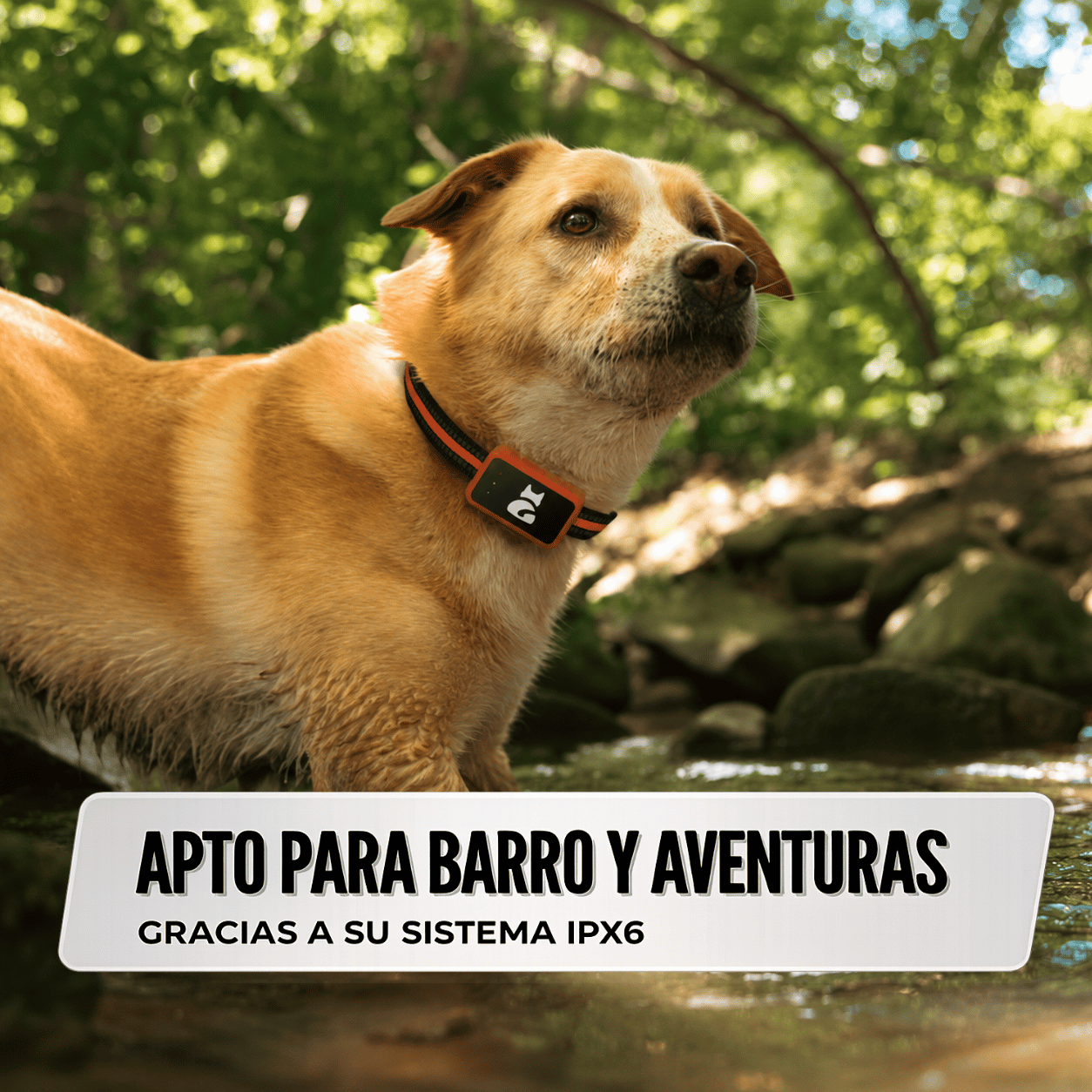 Huella Pet - Localizador inteligente
